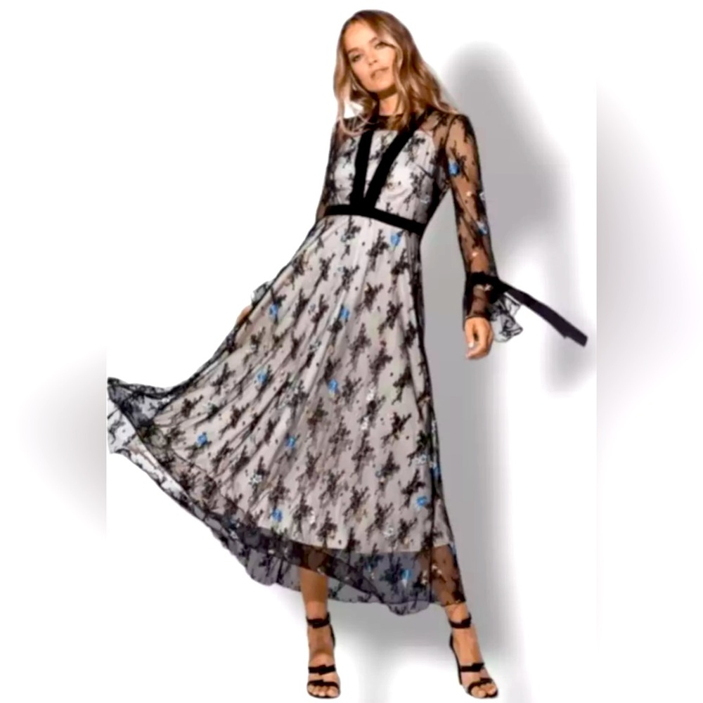 Haute Rogue New York Floral Embroidered Mesh Velvet Trim Maxi Dress